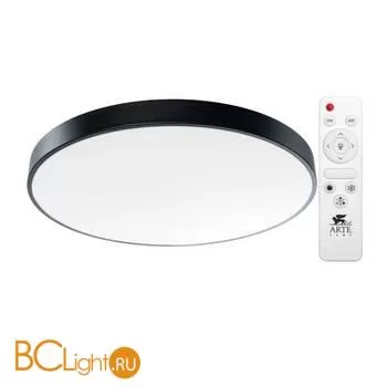 Потолочный светильник Arte Lamp Arena A2673PL-1BK