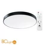 Потолочный светильник Arte Lamp Arena A2673PL-1BK