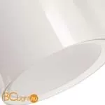 Подвесной светильник Arte Lamp Aries A8983SP-1CC - Фото 2