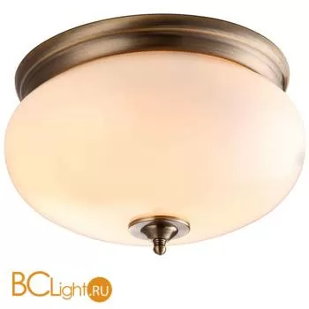 Настенно-потолочный светильник Arte Lamp Armstrong A3560PL-2AB