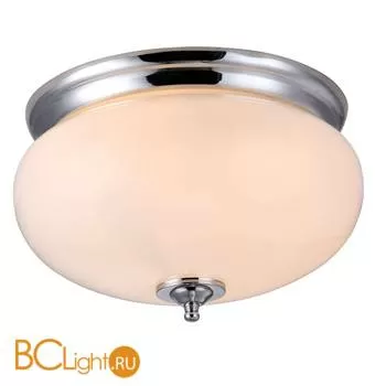 Настенно-потолочный светильник Arte Lamp Armstrong A3560PL-2CC