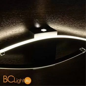 Настенный светильник Arte Lamp Arte A2216AP-1BK - Фото 1