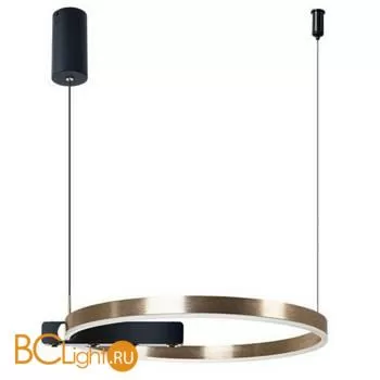 Подвесной светильник Arte Lamp Arte A2221SP-1BR