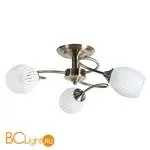 Потолочная люстра Arte Lamp Arya A2941PL-3AB