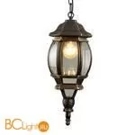 Уличный подвесной светильник Arte Lamp Atlanta A1045SO-1BN - Фото 1