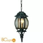 Подвесной светильник уличный Arte Lamp ATLANTA A1045SO-1BG