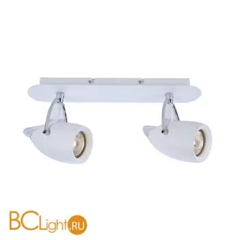 Потолочный светильник Arte Lamp Atlantis A4004AP-2WH