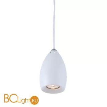 Подвесной светильник Arte Lamp Atlantis A4004SP-1WH