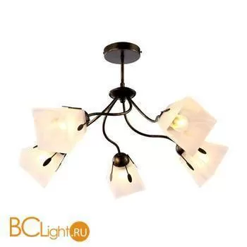Люстра Arte Lamp Avanti A9233PL-5BR