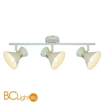 Спот (точечный светильник) Arte Lamp Baltimore A1406PL-3WG