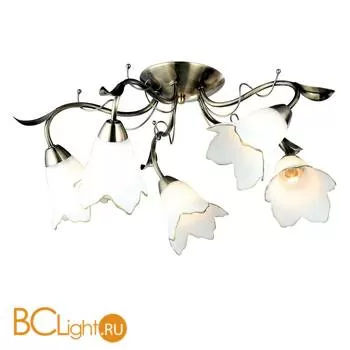 Потолочная люстра Arte Lamp Barbara A6066PL-5AB