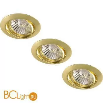 Потолочный светильник Arte Lamp BASIC A2105PL-3GO