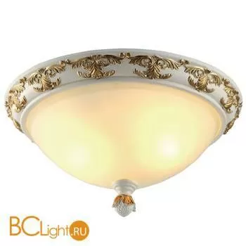 Потолочный светильник Arte Lamp Benessere A9570PL-2WG