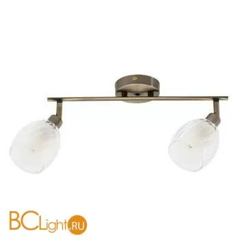 Люстра Arte Lamp Biham A3184PL-2AB