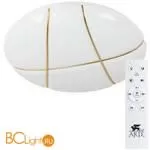 Потолочный светильник Arte Lamp Biscotti A2677PL-72GO