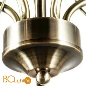 Люстра Arte Lamp Blossom A2709PL-5AB - Фото 1