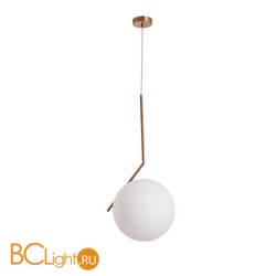 Závěsné svítidlo Arte Lamp Bolla-Unica A1921SP-1AB
