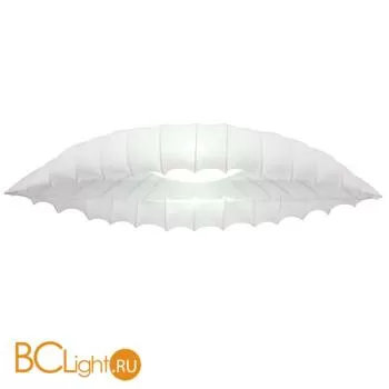 Потолочный светильник Arte Lamp Botticelli A2188PL-2CC