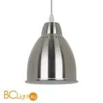 Подвесной светильник Arte Lamp Braccio A2054SP-1SS