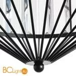 Подвесной светильник Arte Lamp Cassel A1790SP-1BK - Фото 2