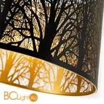 Подвесной светильник Arte Lamp Celesta A2769SP-1BK - Фото 2