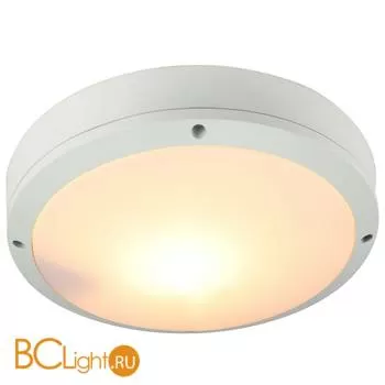 Уличный потолочный светильник Arte Lamp City A8154PF-2WH