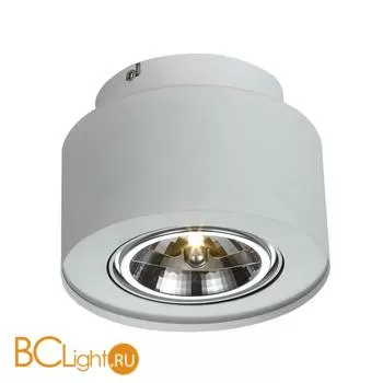 Спот (точечный светильник) Arte Lamp Cliff A5643PL-1WH