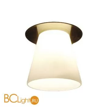 Потолочный светильник Arte Lamp COOL ICE A8550PL-1AB