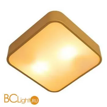 Потолочный светильник Arte Lamp Cosmopolitan A7210PL-2GO
