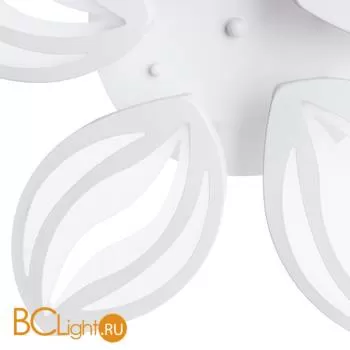 Потолочный светильник Arte Lamp Daisy A1098PL-5WH - Фото 0