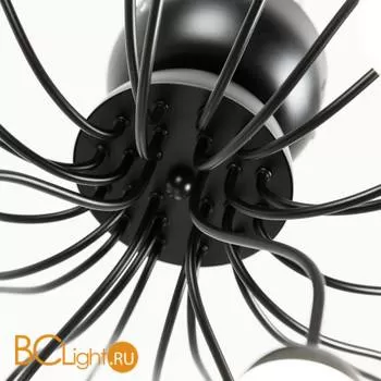 Люстра Arte Lamp Dexter A3619PL-24BK - Фото 1