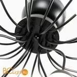 Люстра Arte Lamp Dexter A3619PL-24BK - Фото 1