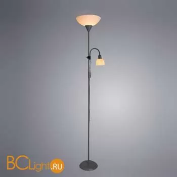 Торшер Arte Lamp Duetto A9569PN-2SI