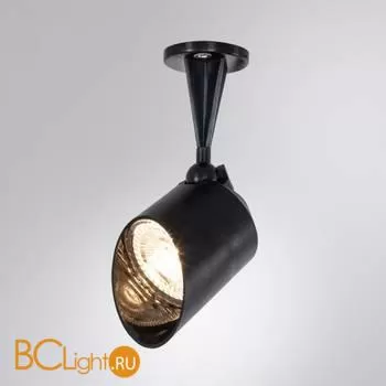 Уличный потолочный светильник Arte Lamp Elsie A1024AL-1BK