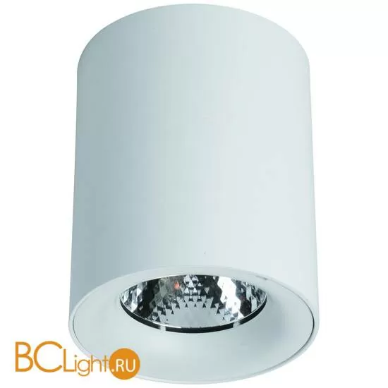 Спот (точечный светильник) Arte Lamp Facile A5130PL-1WH