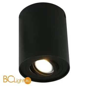 Потолочный светильник Arte Lamp Falcon A5644PL-1BK