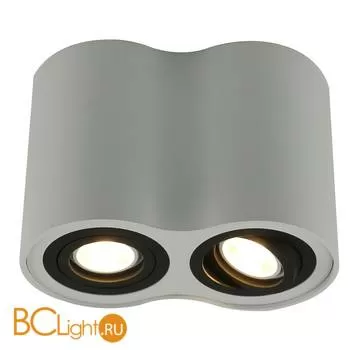 Потолочный светильник Arte Lamp Falcon A5644PL-2WH