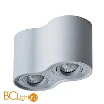 Потолочный светильник Arte Lamp Falcon A5645PL-2GY