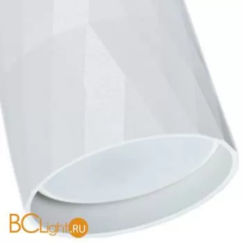 Спот Arte Lamp Fang A5557PL-1WH - Фото 1