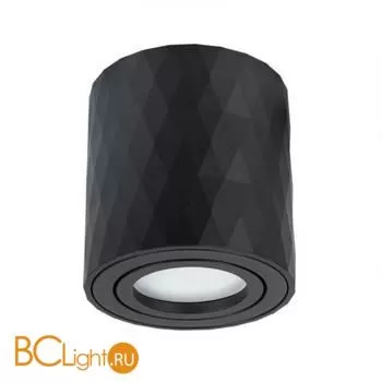 Спот Arte Lamp Fang A5559PL-1BK