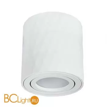 Спот Arte Lamp Fang A5559PL-1WH