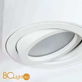 Спот Arte Lamp Fang A5559PL-1WH - Фото 1