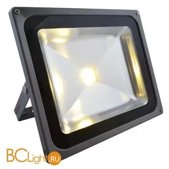 Настенный уличный светильник Arte Lamp Faretto A2550AL-1GY