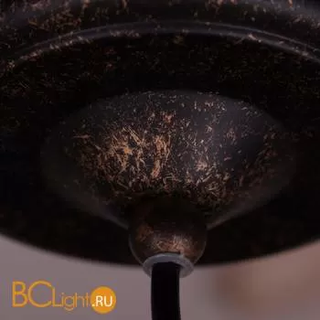 Подвесной светильник Arte Lamp Fisherman A5518SP-1RI - Фото 4