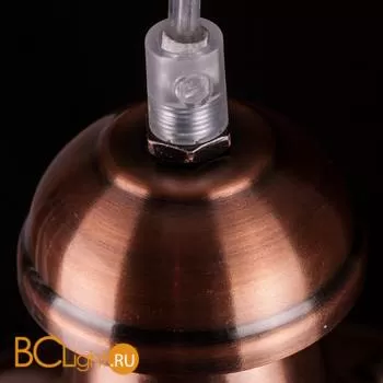 Подвесной светильник Arte Lamp Fisherman A5518SP-1RB - Фото 3