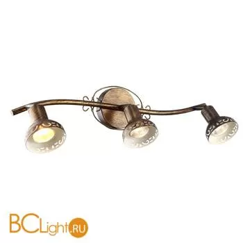 Спот (точечный светильник) Arte Lamp Focus A5219PL-3BR