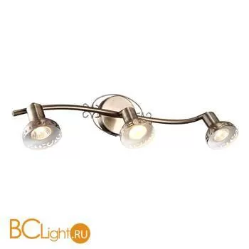 Спот (точечный светильник) Arte Lamp Focus A5219PL-3AB