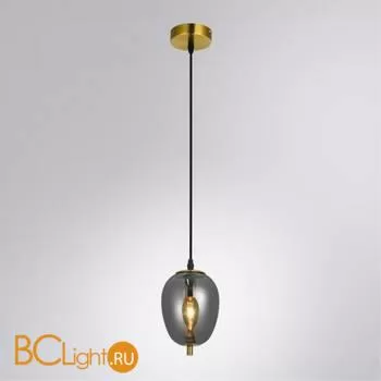 Подвесной светильник Arte Lamp Freddie A2232SP-1PB - Фото 0