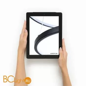 Подвесной светильник Arte Lamp Frodo A2197SP-2BK - Фото 2