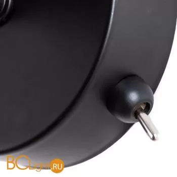 Бра Arte Lamp Fuori A9184AP-1BK - Фото 0